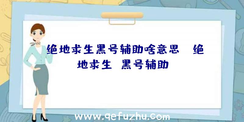 「绝地求生黑号辅助啥意思」|绝地求生